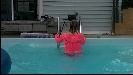 Vidcap 2