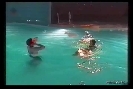 Vidcap 1