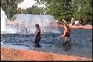 Vidcap 1